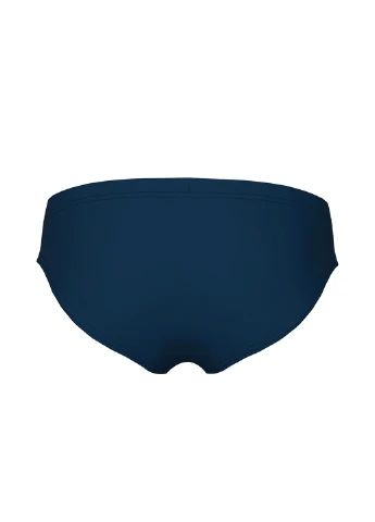 Плавки Arena REFLECTING SWIM BRIEFS (306941114)