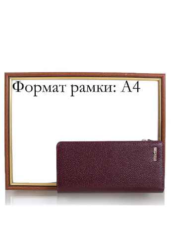 Женский кожаный кошелек 20,3х10х2,5 см Desisan (195547773)