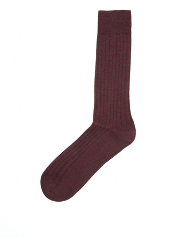 Шкарпетки Cos (150952593)