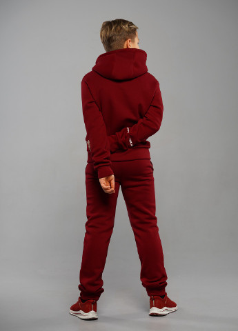 Бордовый зимний зимний спортивный костюм брючный Tiaren Арис