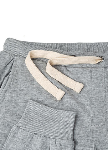 Серые спортивные демисезонные джоггеры брюки Jeep