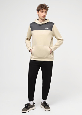 Худі The North Face (330272893)