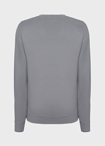 Сірий світшот Replay логотип без декору (314984495)