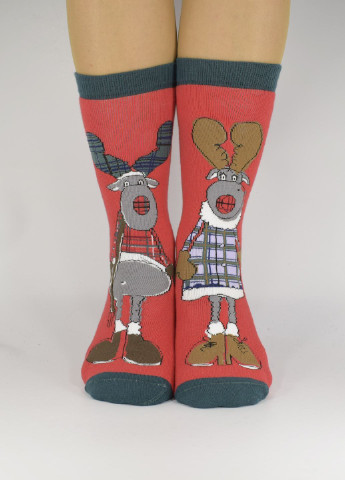 Качественные новогодние носки с махрой (2 пары). Ekmen (246954203)