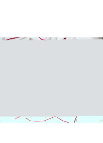 Ковдра пухова DeLuxe 140 x205 Зима (030 140 x205) Mirson (254078941)