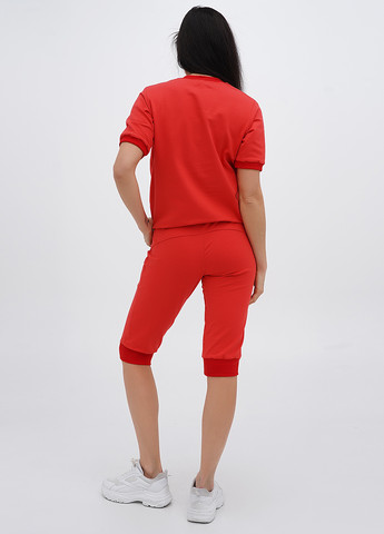 Костюм (футболка, бриджи) No Brand (331176335)