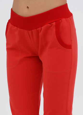 Костюм (футболка, бриджи) No Brand (331176335)