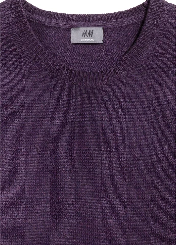 Сливовый демисезонный джемпер джемпер H&M