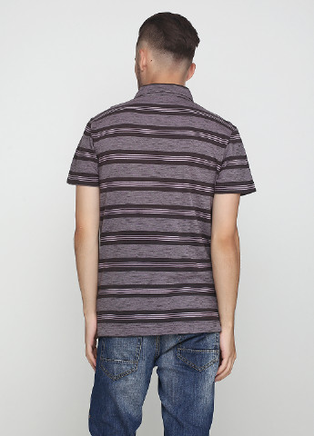Сиреневая футболка-поло для мужчин Calvin Klein Jeans в полоску
