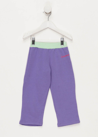 Фиолетовые спортивные демисезонные брюки Converse