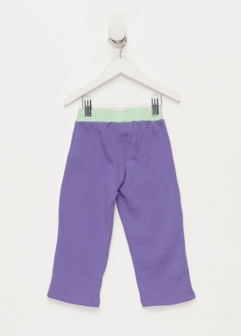Фиолетовые спортивные демисезонные брюки Converse