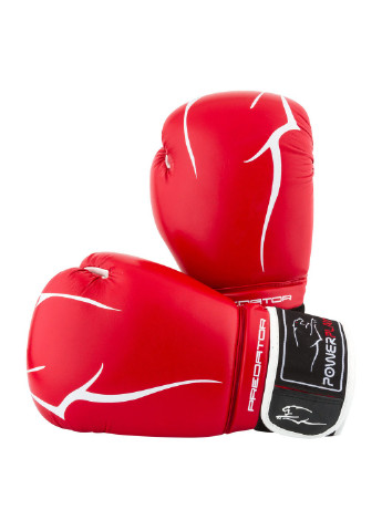 Боксерские перчатки 12 унций PowerPlay (204885714)