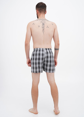 Трусы (5 шт.) Ecko Unltd (306444976)