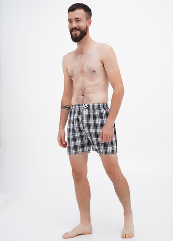 Трусы (5 шт.) Ecko Unltd (306444976)