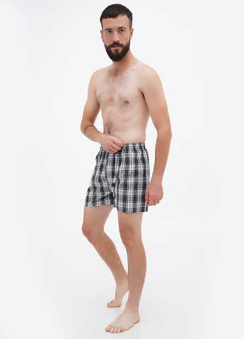 Трусы (5 шт.) Ecko Unltd (306444976)