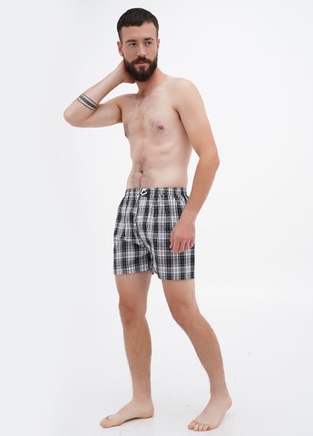 Трусы (5 шт.) Ecko Unltd (306444976)