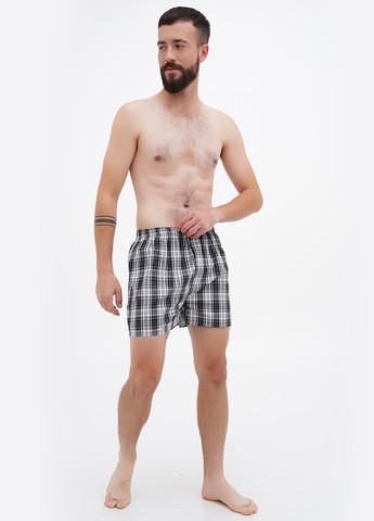 Трусы (5 шт.) Ecko Unltd (306444976)