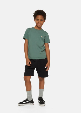 Шорти Dickies (365686777)