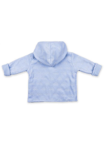 Блакитний демісезонний набір дитячого одягу велюровий блакитний з капюшоном (ep6206.0-3) Luvena Fortuna