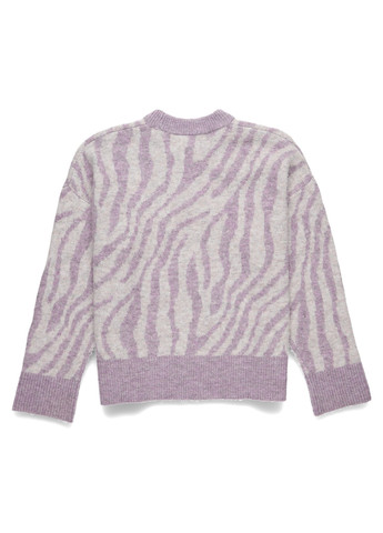 Бузковий зимовий джемпер джемпер C&A