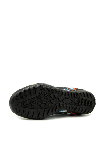 Сороконожки LaLiga (364294281)