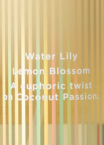 Набір Coconut Passion Bliss (лосьйон, міст) Victoria's Secret (327577300)