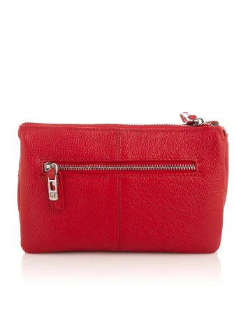 Жіночий шкіряний клатч 21х14х6 см Giorgio Ferretti (255710792)