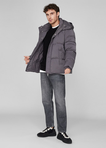 Сірий зимній Пуховик PRPY