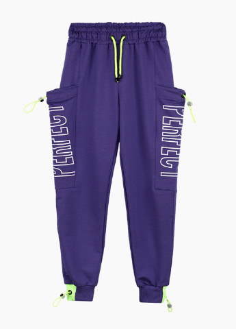 Фиолетовые спортивные демисезонные джоггеры брюки Beneti-kimba