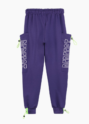 Фиолетовые спортивные демисезонные джоггеры брюки Beneti-kimba