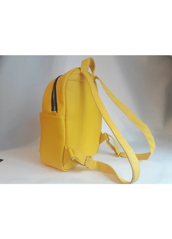 Женский рюкзак 25х10х20 см Sambag (252155433)