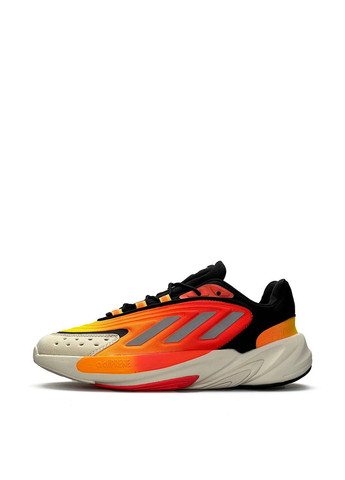 Цветные всесезонные кроссовки adidas