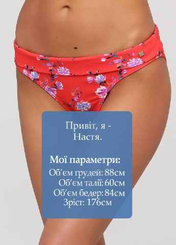 Купальні труси Jette (256492366)