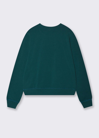 Бутылочный зеленый свитшот Piazza Italia надпись без декора (363048316)