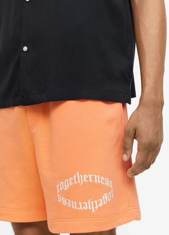 Шорти H&M (331176193)