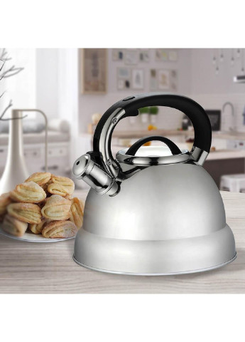 Чайник со свистком MR-1332L 4 л Maestro (253630513)