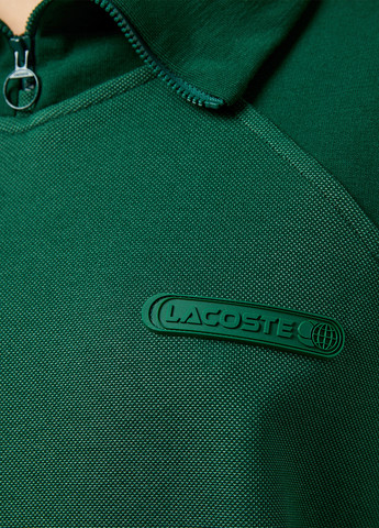 Толстовка Lacoste (329629325)
