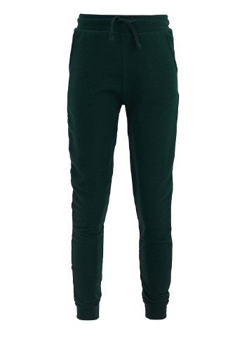 Темно-зеленые спортивные демисезонные брюки джоггеры DeFacto