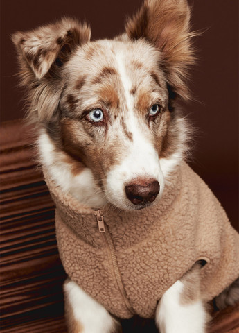 Куртка H&M (369277876)