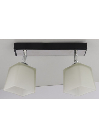 Люстра потолочная на 2 лампочки 51203/2-bk Черный 19х9х30 см. Sunnysky (253528052)