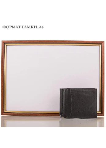 Мужской кожаный зажим для купюр 11х8,5х0,5 см Canpellini (195770912)