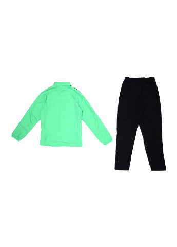 Зеленый демисезонный костюм (толстовка, брюки) Nike Y NK DRY ACDMY18 TRK SUIT W