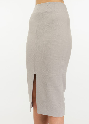 Костюм (жакет, юбка) BGL Комплект (жакет и юбка) юбочный однотонный светло-серый деловой вискоза