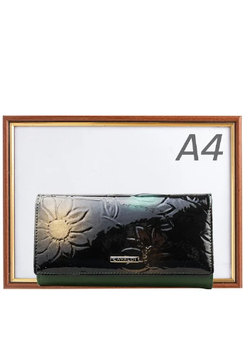 Жіночий шкіряний гаманець 18,5х9х3 см 4U Cavaldi (195538717)