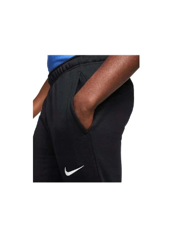 Штани спортивні Nike (253926213)
