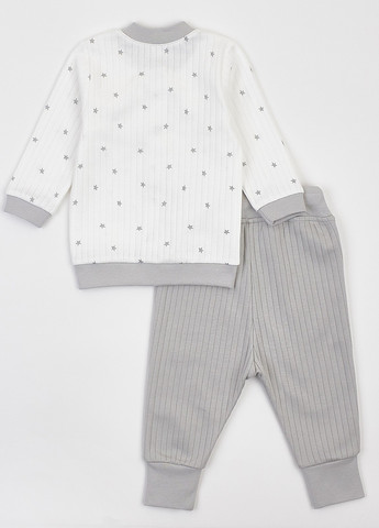 Серый демисезонный комплект (кофта, брюки) Ляля