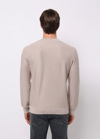 Бежевий зимовий джемпер джемпер Colin's