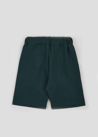 Шорты Ляля (333822793)