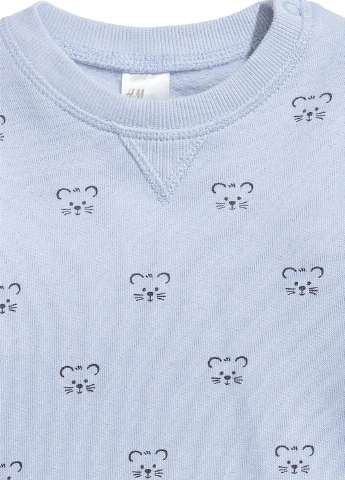 Сіро-голубий світшоти H&M малюнок без декору (248895725)