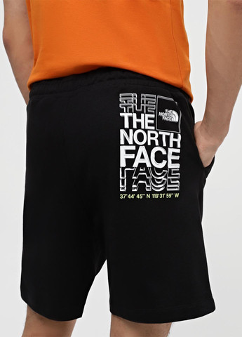 Шорты The North Face (330361443)